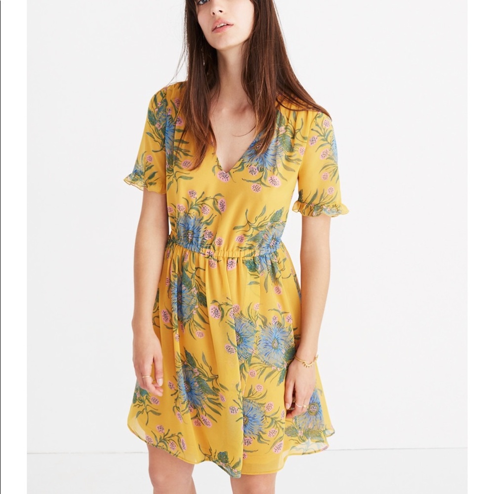 Madewell sweetgrass ruffle sleeve dress